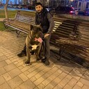 ���������� ���������, ���� ������� �����, 38 ���, ������������ ��� ������, ����� � ���������