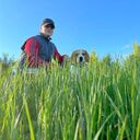 ���������� ��������, ���� ������� ���������, 29 ���, ������������ ��� ������, ����� � ���������, c�������� ���������