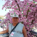 ,   , 71 ,   ,   , c 