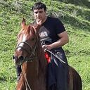  ,   , 41 ,   ,   