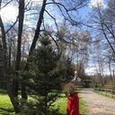 ���������� ������, ���� ������� �����, 51 ���, ������������ ��� ������, ����� � ���������, ���������