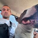 ���������� �����, ���� ������� ����, 33 ����, ������������ ��� ������, ����� � ���������