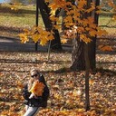 ���������� �����, ���� ������� ���, 40 ���, ������������ ��� ������, ����� � ���������