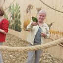 ���������� ��������, ���� ������� �������, 62 ����, ������������ ��� ������, ����� � ���������