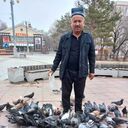 ���������� ���������, ���� ������� ������, 56 ���, ������������ ��� c�������� ���������