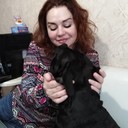  -,   , 50 ,   ,   , c 