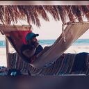  ,   Ahmed, 35 ,   ,   