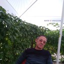   ,   , 53 ,   