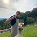 ���������� �����������, ���� ������� ����, 27 ���, ������������ ��� ������, ����� � ���������, ���������