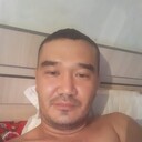 ���������� ������, ���� ������� Alim, 39 ���, ������������ ��� ������, ����� � ���������, c�������� ���������