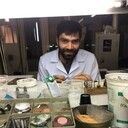 ���������� ������, ���� ������� �����, 35 ���, ������������ ��� ������, ����� � ���������, c�������� ���������