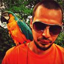 ���������� ������, ���� ������� �������, 41 ���, ������������ ��� ������, ����� � ���������, c�������� ���������, ���������