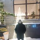 ���������� �������, ���� ������� ���������, 41 ���, ������������ ��� ������, ����� � ���������, c�������� ���������