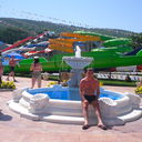  ,   Vitoss, 41 ,   ,   , c 