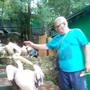 ���������� �������, ���� ������� ������, 48 ���, ������������ ��� ������, ����� � ���������, c�������� ���������