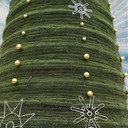 ���������� ����, ���� ������� �����, 37 ���, ������������ ��� ������