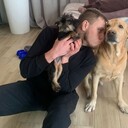 ���������� ����������, ���� ������� SochiStaff, 36 ���, ������������ ��� ������