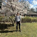 ���������� Gouda, ���� ������� ���������, 42 ����, ������������ ��� c�������� ���������