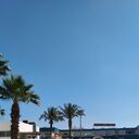 ���������� �����, ���� ������� �������, 55 ���, ������������ ��� ����� � ���������, c�������� ���������