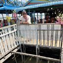  ,   , 36 ,   ,   , c 