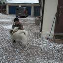 ���������� ������, ���� ������� Dima, 40 ���, ������������ ��� ������, ���������