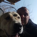 ���������� �������, ���� ������� ������, 44 ����, ������������ ��� ����� � ���������, c�������� ���������