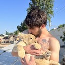 ���������� ���������, ���� ����� �����, 23 ����, ������������ ��� ������, ����� � ���������, c�������� ���������