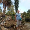  --,   , 61 ,   ,   