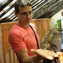 ���������� ������, ���� ������� ����, 44 ����, ������������ ��� ����� � ���������, c�������� ���������