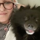 ���������� �����-���������, ���� ������� �����, 54 ����, ������������ ��� ������, ����� � ���������, c�������� ���������, ���������