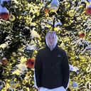 ���������� ������, ���� ������� �����, 27 ���, ������������ ��� ������, ����� � ���������