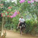 ���������� ������, ���� ������� Mindmanager, 44 ����, ������������ ��� ������, ����� � ���������, c�������� ���������