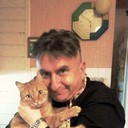 ���������� �����, ���� ������� �����, 55 ���, ������������ ��� ������, ����� � ���������, c�������� ���������