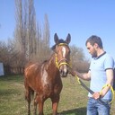 ���������� �������, ���� ������� K Beslan, 36 ���, ������������ ��� ������, ����� � ���������