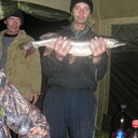 ���������� �����, ���� ������� ���������, 44 ����, ������������ ��� ������, ����� � ���������