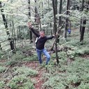 ���������� �����, ���� ������� ����, 33 ����, ������������ ��� ������, ����� � ���������, c�������� ���������