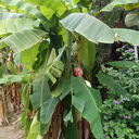  ,   , 60 ,   ,   , c 