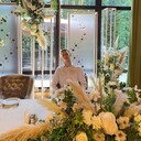 ���������� �������, ���� ����� ������, 19 ���, ������������ ��� ������, ����� � ���������