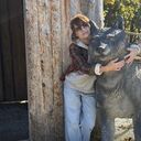 ���������� �����������, ���� ������� �������, 49 ���, ������������ ��� ������, ����� � ���������