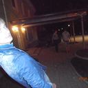 ���������� ������, ���� ������� Mikhael, 35 ���, ������������ ��� ������