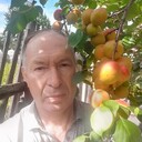  ,   , 55 ,   ,   , c 