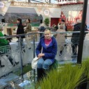  ,   , 34 ,     , c 