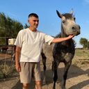 ���������� ����������, ���� ������� ����, 32 ����, ������������ ��� ����� � ���������, c�������� ���������, ���������