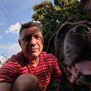  ,   , 50 ,   c 