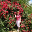 ���������� �����������, ���� ������� ����, 67 ���, ������������ ��� ������, ����� � ���������, c�������� ���������