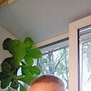 ���������� ������, ���� ������� ���������, 41 ���, ������������ ��� ����� � ���������, c�������� ���������