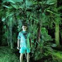 ���������� ������, ���� ������� ����, 33 ����, ������������ ��� ������, ����� � ���������