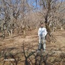  Warszawa,   Faxri, 33 ,   ,   