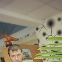  ,   Vix, 40 ,   ,   , c 