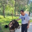 ���������� ������ ��������, ���� ������� �������, 60 ���, ������������ ��� ������, ����� � ���������, c�������� ���������